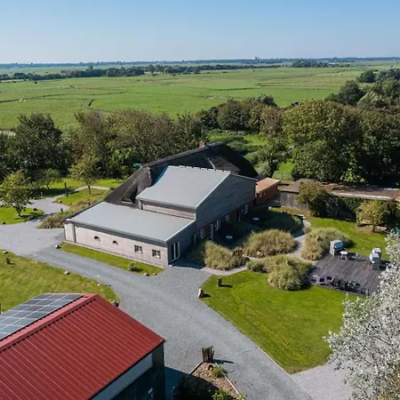 4 Suedfall Id 473 Tating