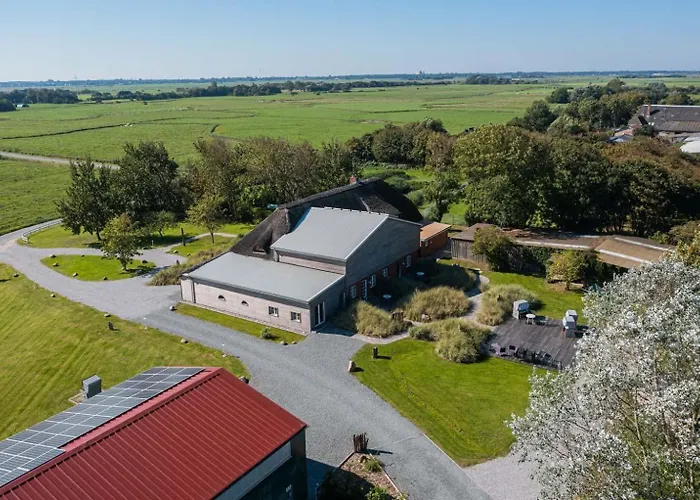 4 Suedfall Id 473 Tating