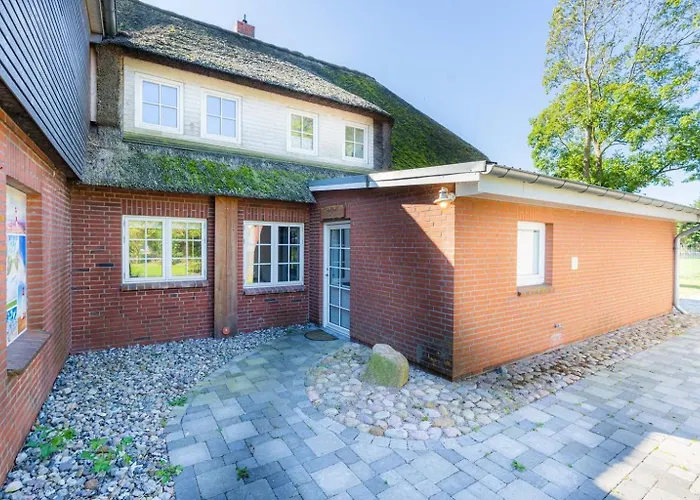 4 Suedfall Id 473 Tating